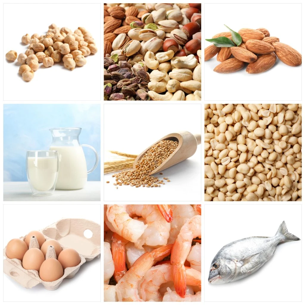 rappresentazione degli alimenti che possono causare problemi: uova, arachidi, crostacei, soia, cereali